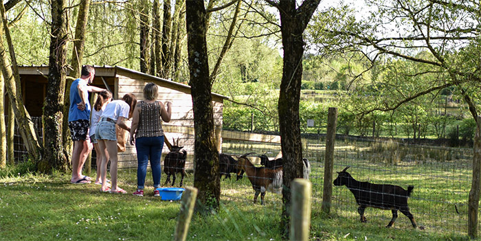 Camping familial avec parc animalier en Vendée