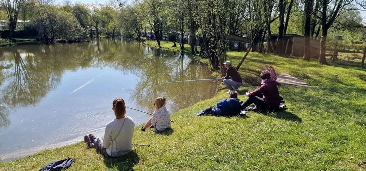 The Green Odyssey: When Nature Reclaims its Rights at the Bellevue Estate