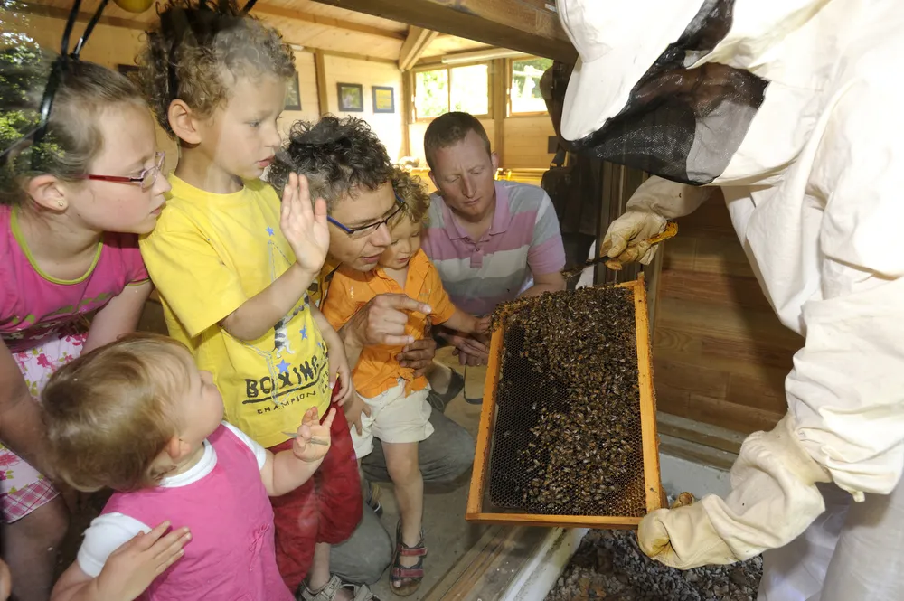 Activiteiten rondom de camping voor een familievakantie