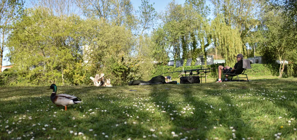 Camping avec étang de pêche