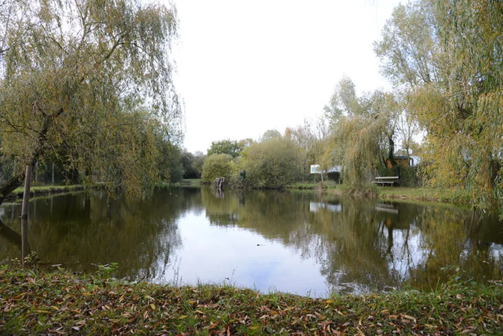Initiation pêche camping
